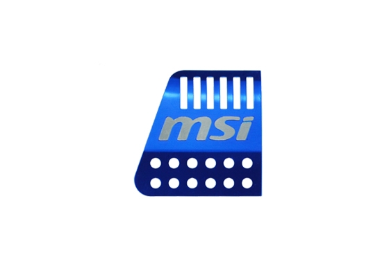 MSI